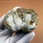 Freiformen - Versteinertes Holz