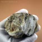 Freiformen - Versteinertes Holz – Bild 2