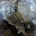 Kugeln - Versteinerte Holz Kugel – Bild 3