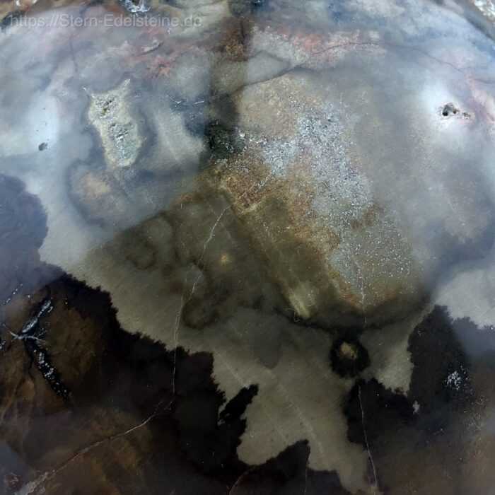 Kugeln - Versteinerte Holz Kugel – Bild 3