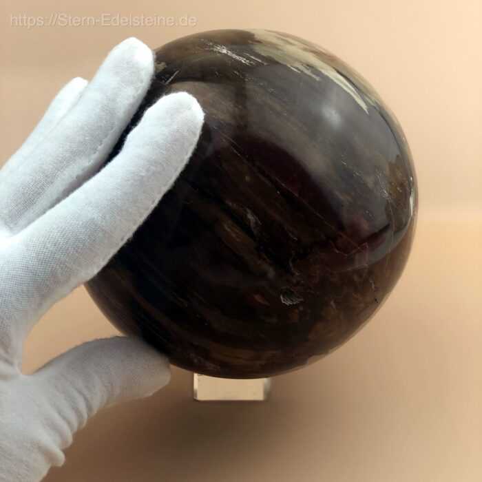 Kugeln - Versteinerte Holz Kugel – Bild 4