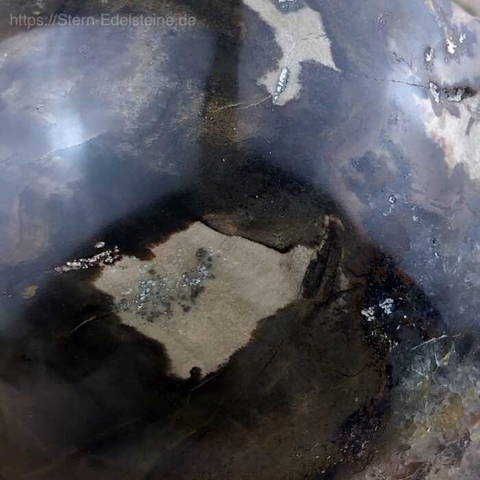 Kugeln - Versteinerte Holz Kugel – Bild 5