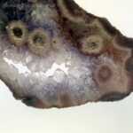 Platten Slabs - Slab 1 – Bild 4