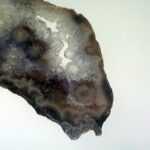 Platten Slabs - Slab 1 – Bild 2