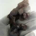 Platten Slabs - Slab 2 – Bild 3