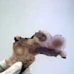 Platten Slabs - Slab 4