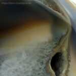 Schnitzereien - Engel Achat Druzy – Bild 5