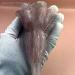 Schnitzereien - Rose Rosenquarz XL – Bild 6
