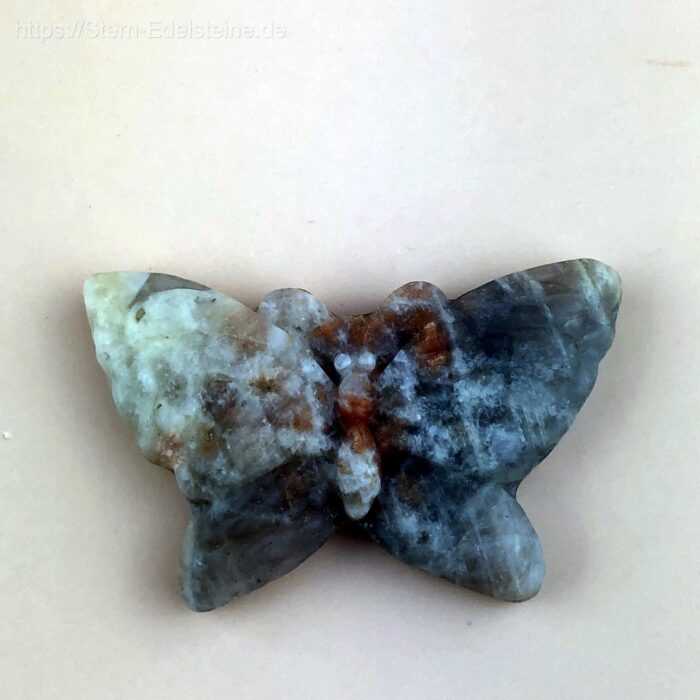 schnitzereien-Sonnenstein-Scxhmetterling Schnitzereien - Schmetterling Sonnenstein – Bild 1