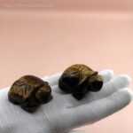 Schnitzereien - Schildkröten Tigerauge