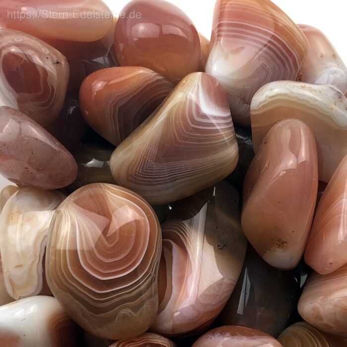 Trommelsteine - Karneol – Bild 1