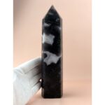 Türme - Moosachat Turm